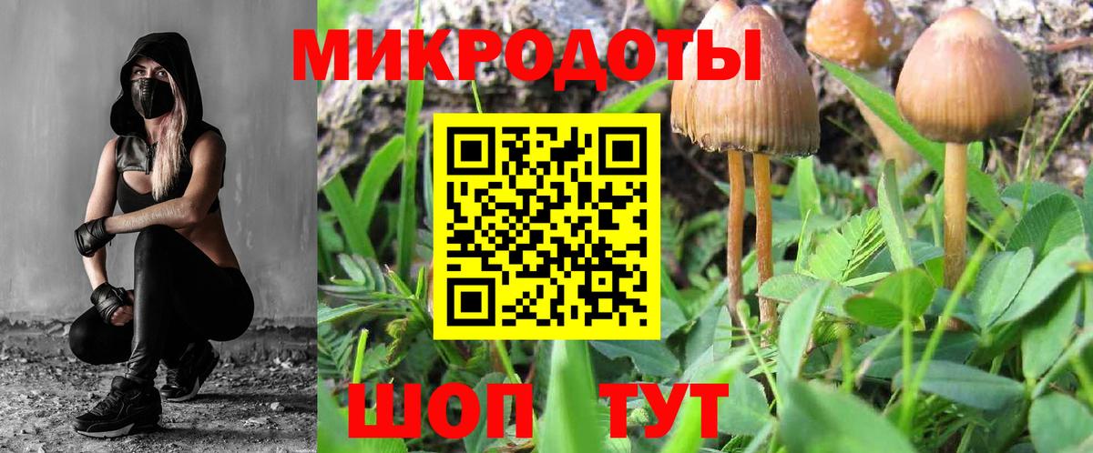 Галлюциногенные грибы мицелий Казань